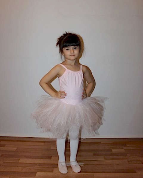 AYCE KOSTÜM - TOZ PEMBE TÜTÜ - T19